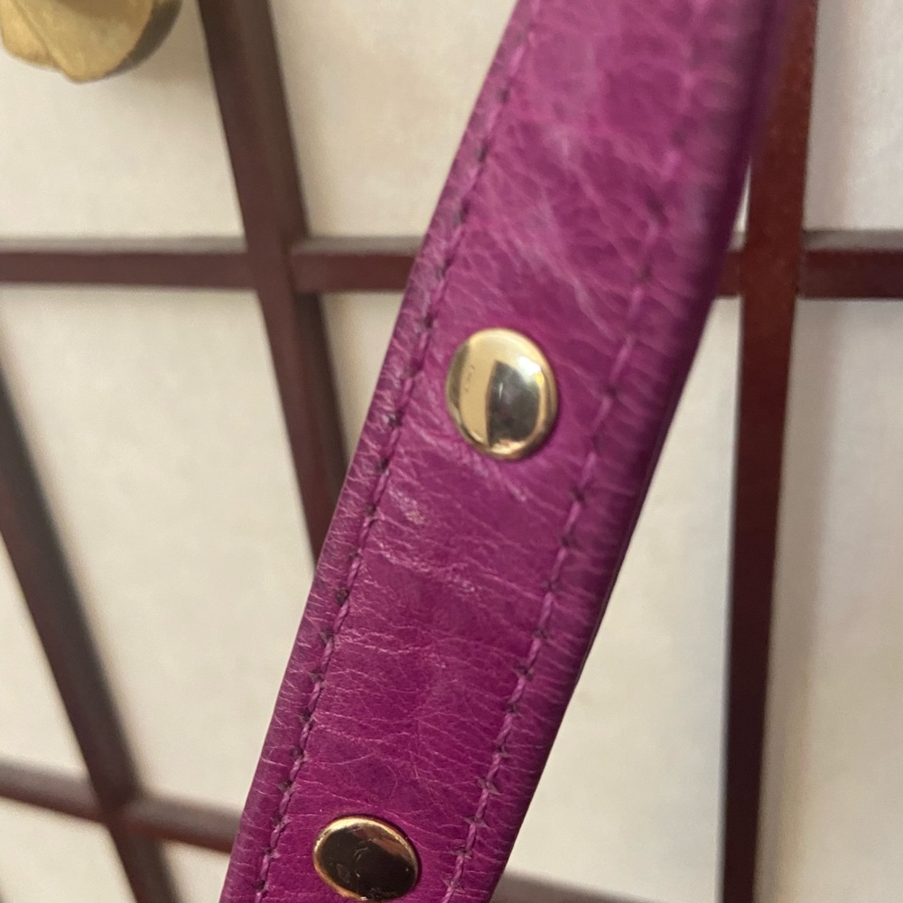 Rebecca Minkoff leather orchid MAC mottled with gold hardware details - Picture 9 of 12